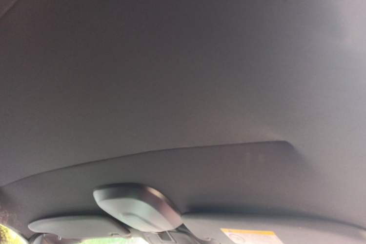 Used Porsche 718 2022 Boxster 2.0T Headliner