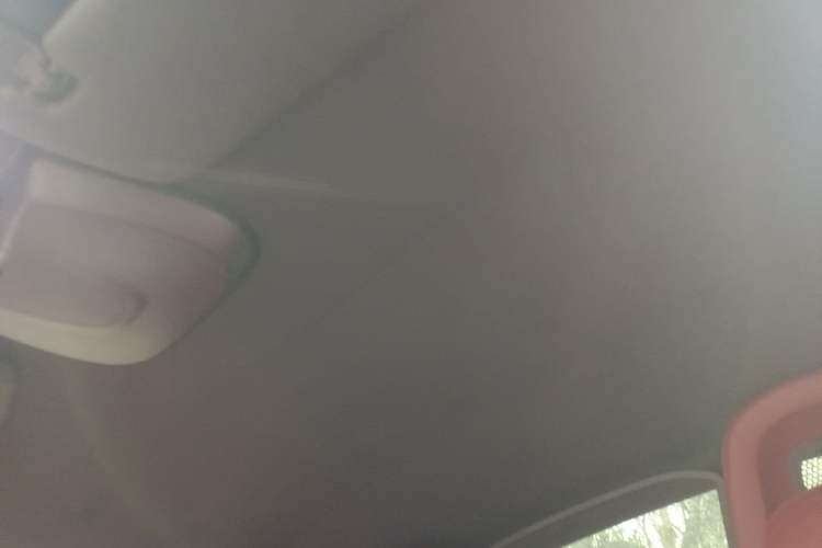 Used Porsche 718 2022 Boxster 2.0T Headliner