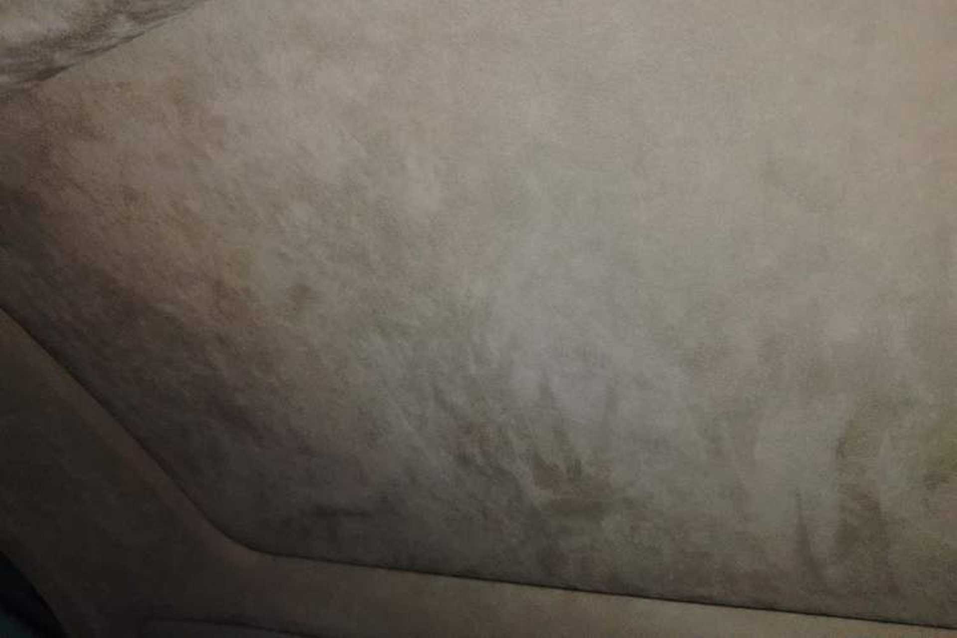 Used Porsche 911 2012 Carrera S 3.8L Headliner