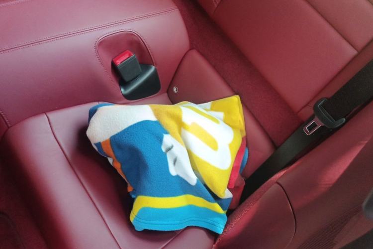 Used Porsche 911 2020 Carrera 3.0T Left Rear Seat