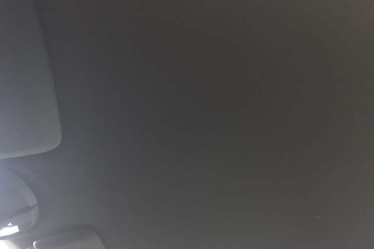 Used Porsche 911 2020 Carrera 3.0T Headliner