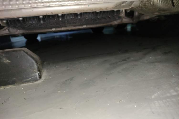 Used Porsche 911 2023 Carrera 3.0T Chassis Rear