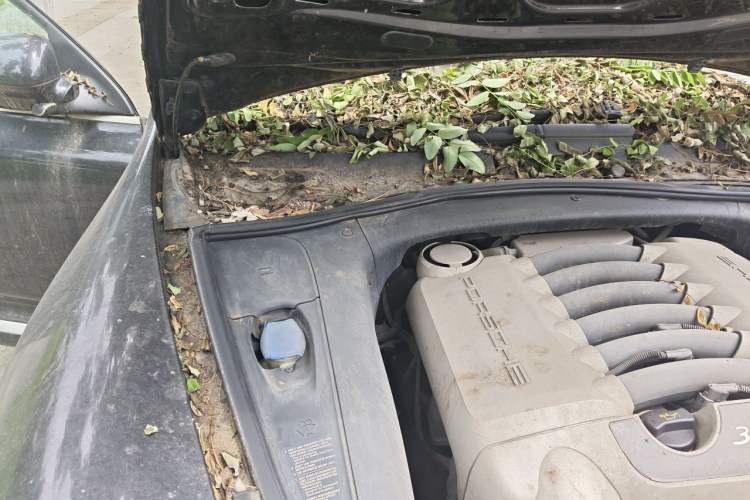 Used Porsche Cayenne 2006 Cayenne 3.2L AT Engine Bay Right
