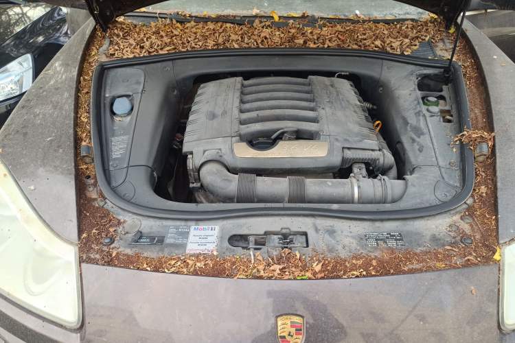 Used Porsche Cayenne 2007 Cayenne 3.6L Engine Bay
