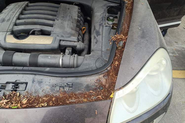 Used Porsche Cayenne 2007 Cayenne 3.6L Engine Bay Left