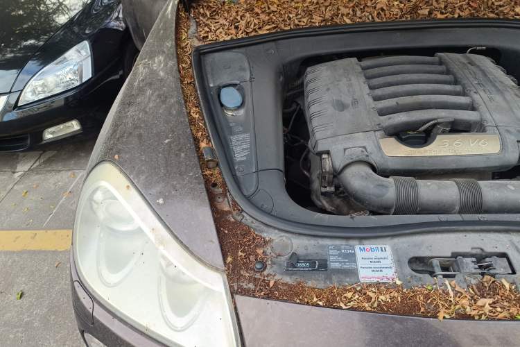 Used Porsche Cayenne 2007 Cayenne 3.6L Engine Bay Right