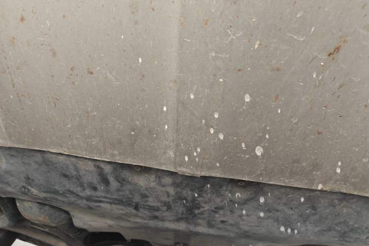 Used Porsche Cayenne 2011 Cayenne 3.0T Chassis Front