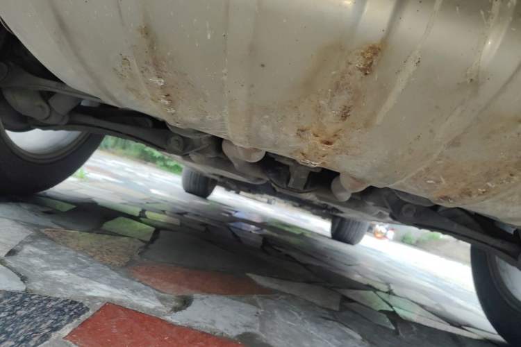 Used Porsche Cayenne 2011 Cayenne 3.0T Chassis Rear