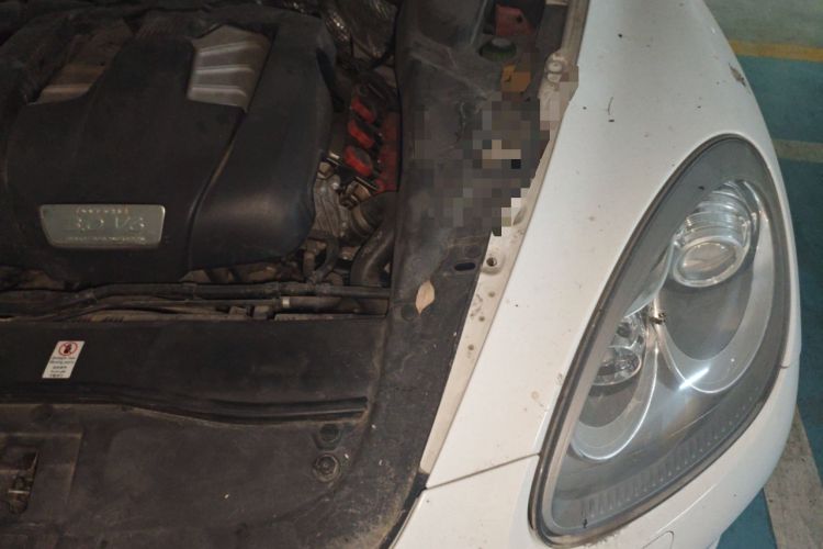 Used Porsche Cayenne 2011 Cayenne 3.0T Engine Bay Left