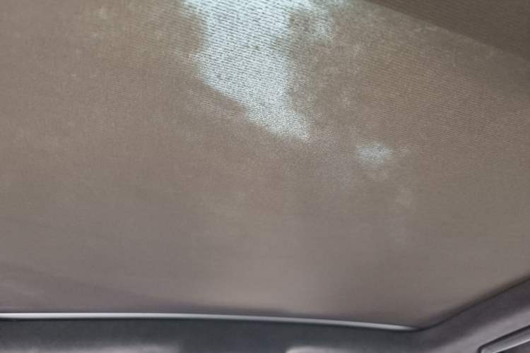Used Porsche Cayenne 2012 Cayenne GTS 4.8L Headliner