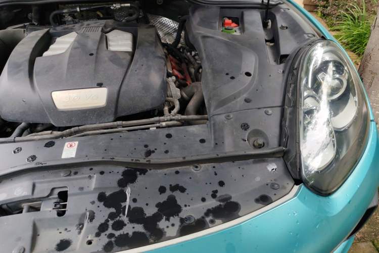 Used Porsche Cayenne 2015 Cayenne 3.0T Engine Bay Left