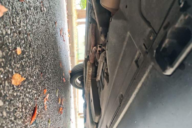 Used Porsche Cayenne 2015 Cayenne 3.0T Chassis Front Left