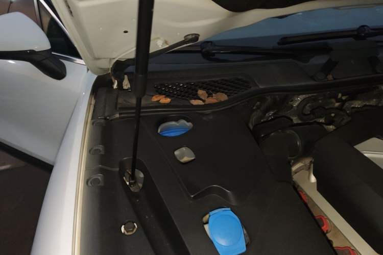 Used Porsche Cayenne 2015 Cayenne 3.0T Engine Bay Right