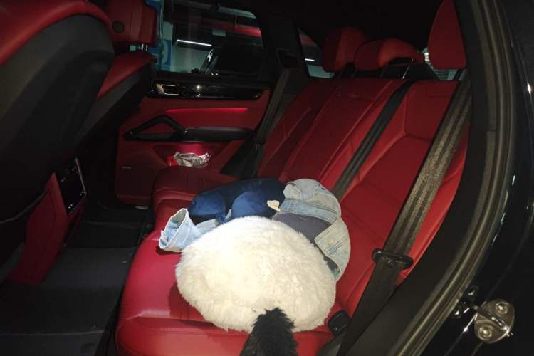 Used Porsche Cayenne 2019 Cayenne 3.0T Left Rear Seat