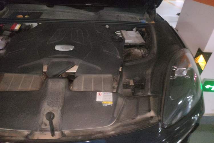 Used Porsche Cayenne 2019 Cayenne 3.0T Engine Bay Left