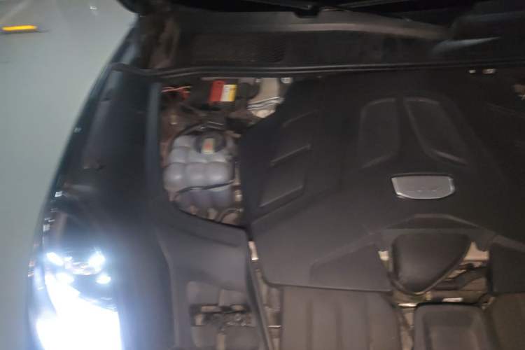 Used Porsche Cayenne 2019 Cayenne 3.0T Engine Bay Right