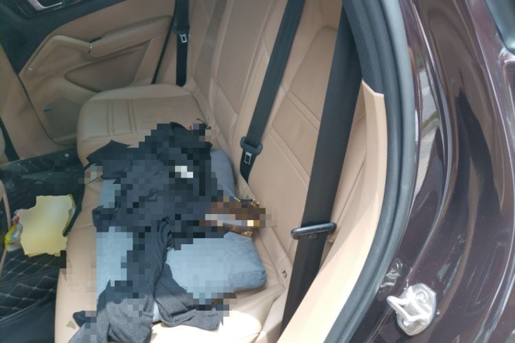 Used Porsche Cayenne 2019 Cayenne 3.0T Left Rear Seat