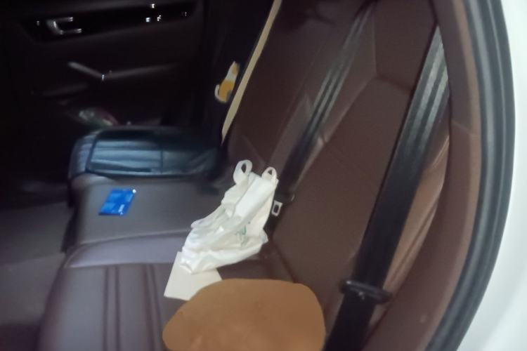 Used Porsche Cayenne 2019 Cayenne 3.0T Left Rear Seat