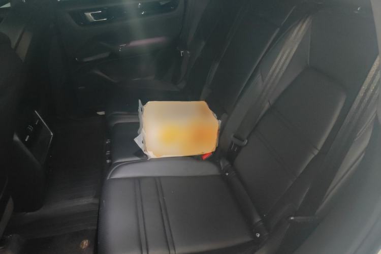 Used Porsche Cayenne 2019 Cayenne 3.0T Left Rear Seat