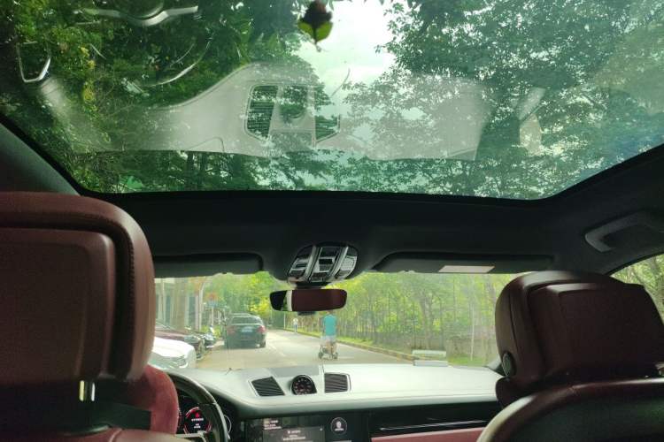 Used Porsche Cayenne 2022 Cayenne Coupé 3.0T Platinum Edition Headliner