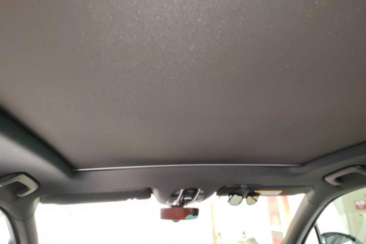 Used Porsche Cayenne 2022 Cayenne S 2.9T Platinum Edition Headliner