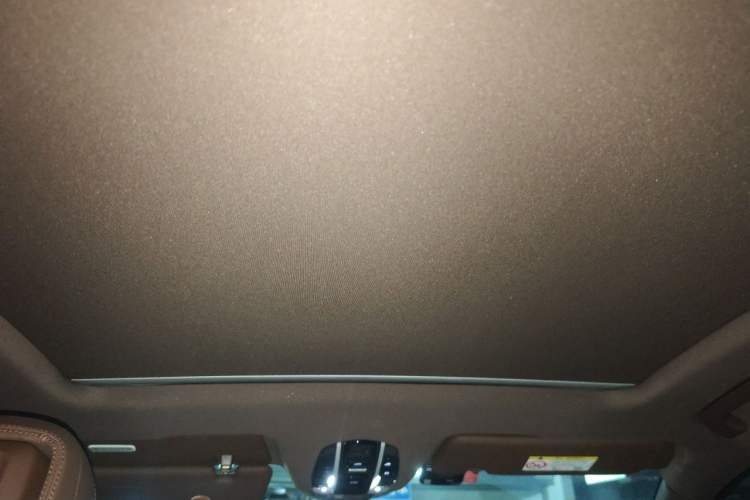 Used Porsche Cayenne 2022 Cayenne 3.0T Platinum Edition Headliner