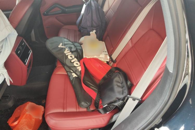 Used Porsche Cayenne 2023 Cayenne 3.0T Platinum Edition Left Rear Seat