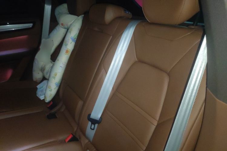 Used Porsche Cayenne 2023 Cayenne 3.0T Platinum Edition Left Rear Seat
