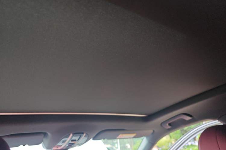 Used Porsche Cayenne 2023 Cayenne 3.0T Platinum Edition Headliner