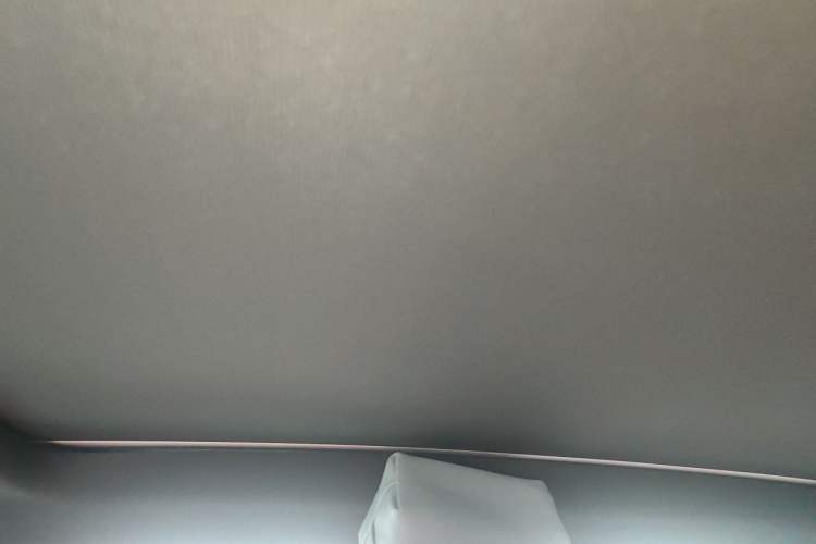 Used Porsche Cayenne 2023 Cayenne Coupé 3.0T Platinum Edition Headliner