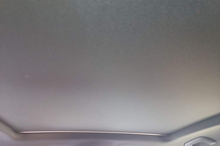 Used Porsche Cayenne 2023 Cayenne 3.0T Platinum Edition Headliner