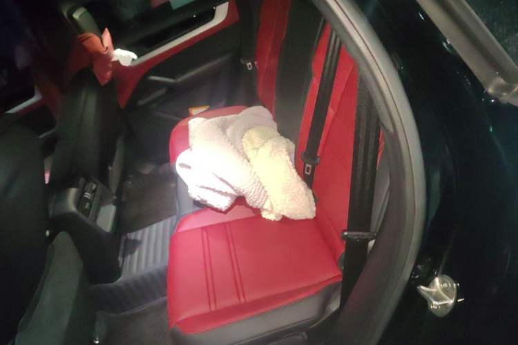 Used Porsche Cayenne 2024 Cayenne 3.0T Left Rear Seat