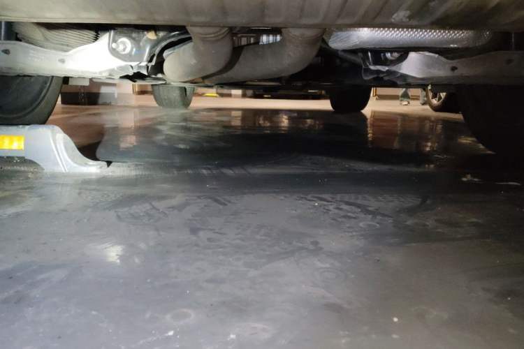 Used Porsche Cayenne 2024 Cayenne 3.0T Chassis Rear