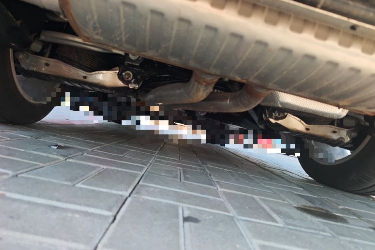 Used Porsche Cayenne 2024 Cayenne 3.0T Chassis Rear