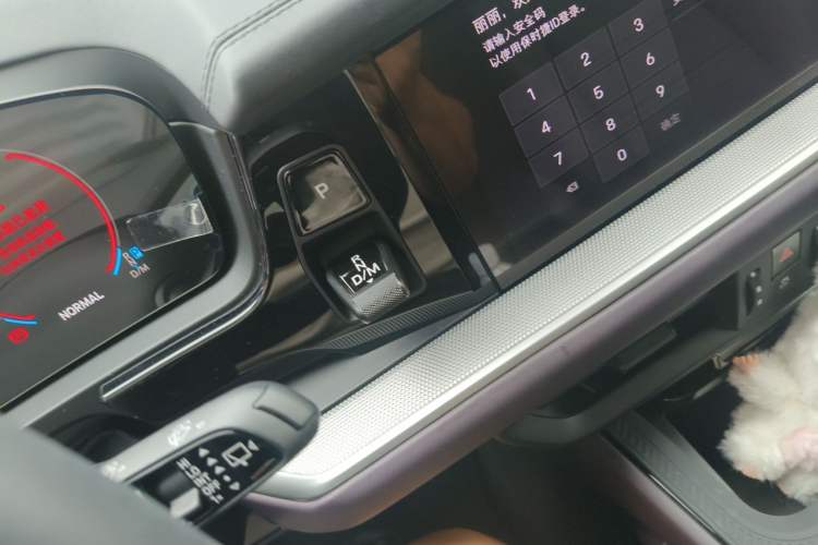 Used Porsche Cayenne 2025 Cayenne 3.0T Dream-Chasing Edition Gear Lever