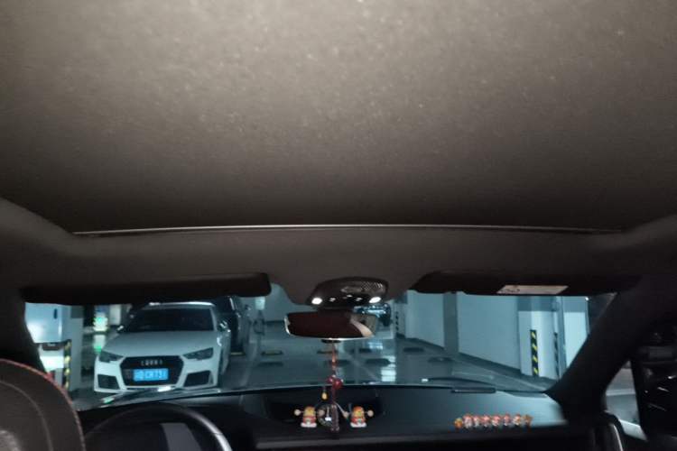 Used Porsche Cayenne 2025 Cayenne 3.0T Dream-Chasing Edition Headliner