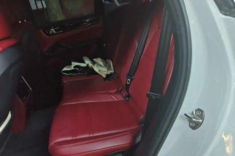Used Porsche Cayenne E-Hybrid 2019 Cayenne E-Hybrid 2.0T Left Rear Seat