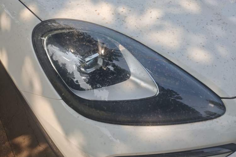 Used Porsche Cayenne E-Hybrid 2019 Cayenne E-Hybrid 2.0T Right Front Headlight