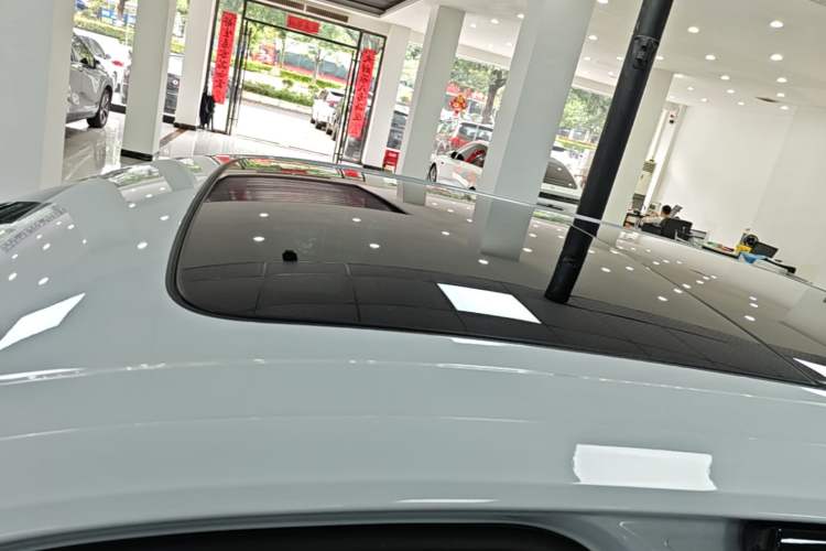Used Porsche Cayenne E-Hybrid 2020 Cayenne E-Hybrid 2.0T Roof