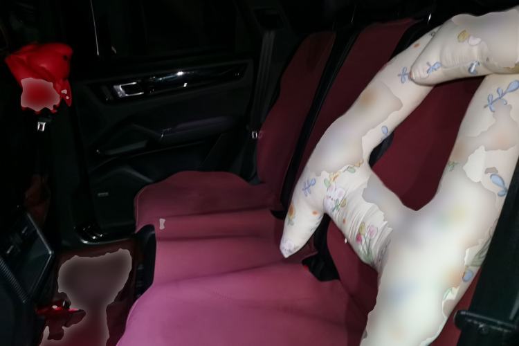 Used Porsche Cayenne E-Hybrid 2021 Cayenne E-Hybrid 2.0T Left Rear Seat