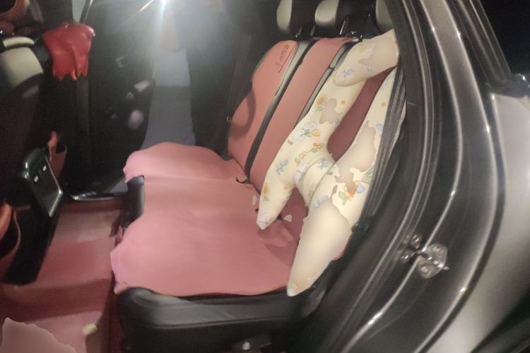 Used Porsche Cayenne E-Hybrid 2021 Cayenne E-Hybrid 2.0T Left Rear Seat