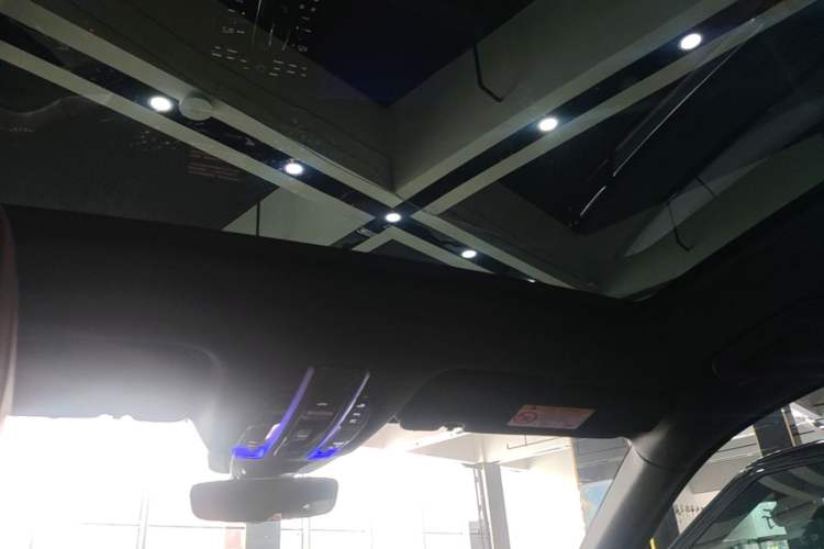 Used Porsche Cayenne E-Hybrid 2022 Cayenne E-Hybrid 2.0T Platinum Edition Headliner