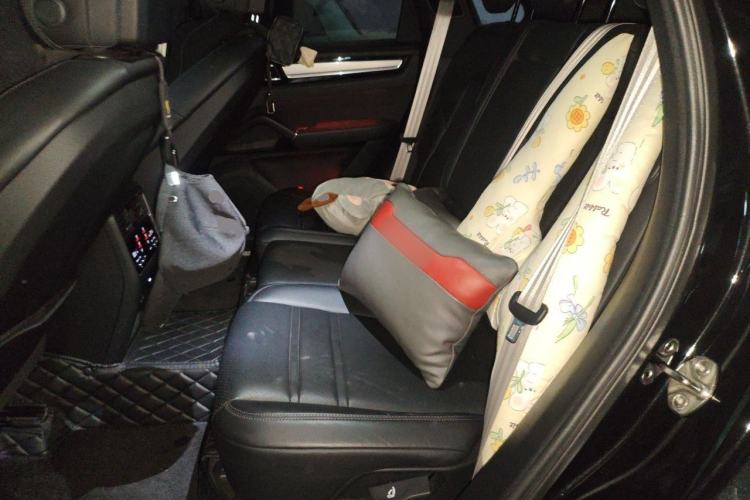 Used Porsche Cayenne E-Hybrid 2023 Cayenne E-Hybrid 2.0T Platinum Edition Left Rear Seat