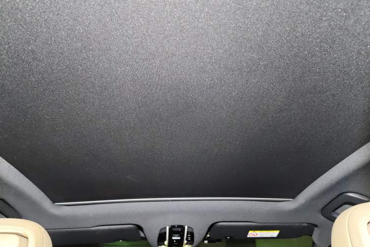 Used Porsche Cayenne E-Hybrid 2023 Cayenne E-Hybrid 2.0T Platinum Edition Headliner