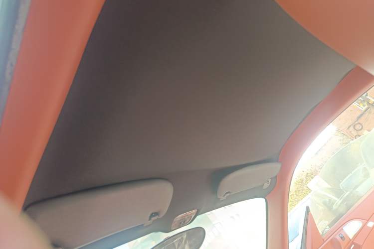 Used Porsche Cayman 2010 Cayman S 2.9L Headliner