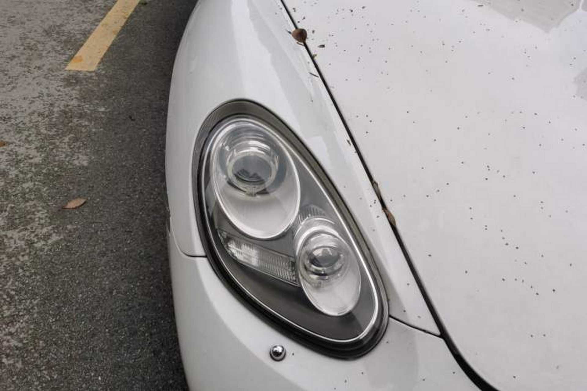 Used Porsche Cayman 2012 Cayman Black Edition 2.9L Right Front Headlight