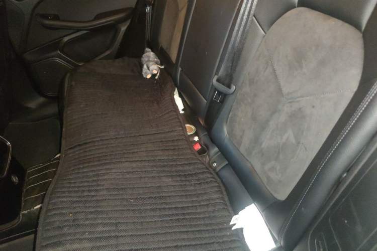 Used Porsche Macan 2017 Macan 2.0T Left Rear Seat