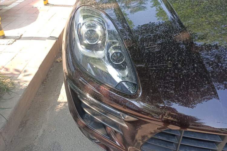 Used Porsche Macan 2017 Macan 2.0T Right Front Headlight