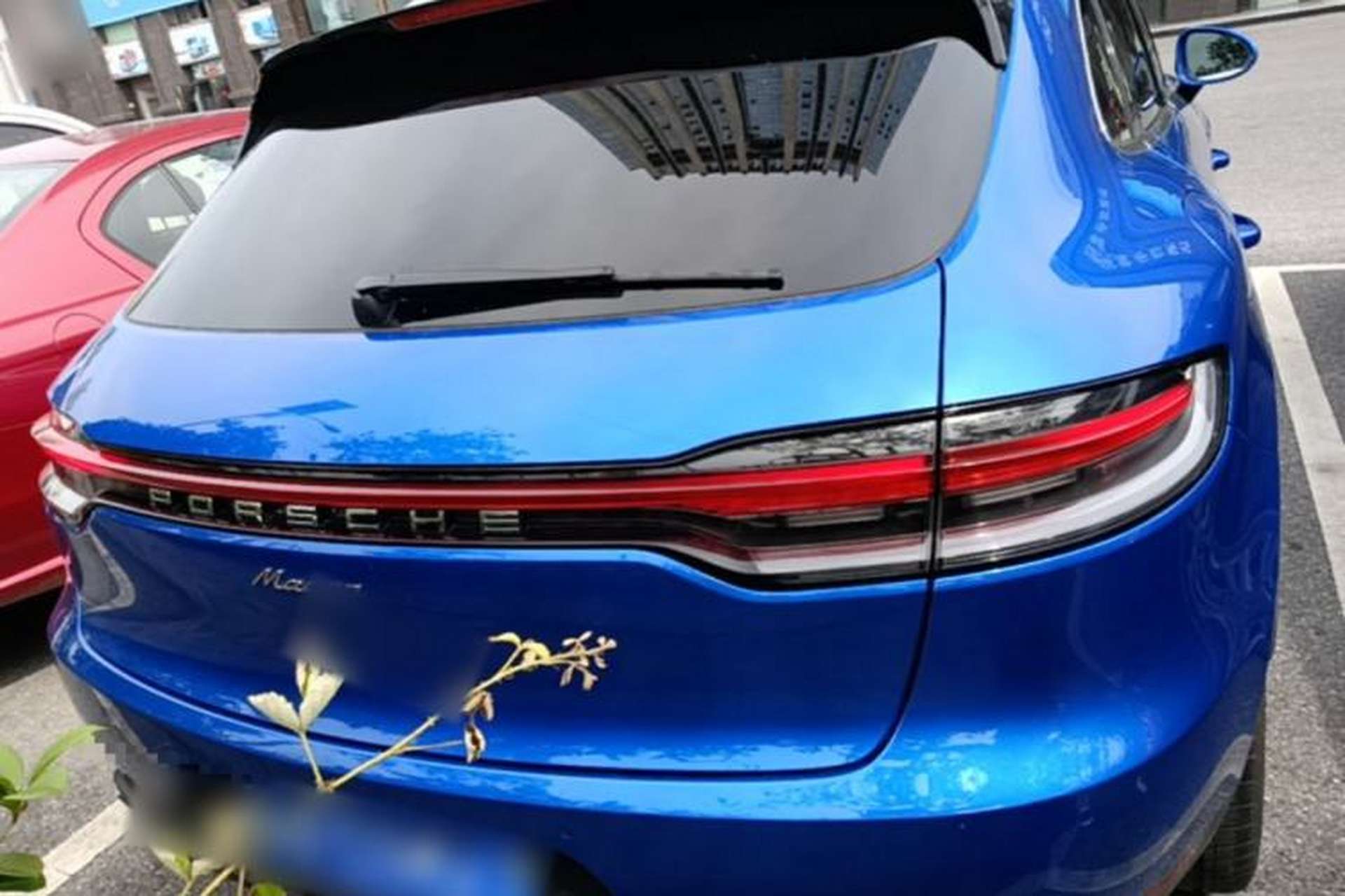 Used Porsche Macan 2018 Macan 2.0T Rear