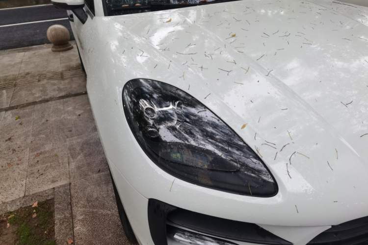Used Porsche Macan 2018 Macan 2.0T Right Front Headlight